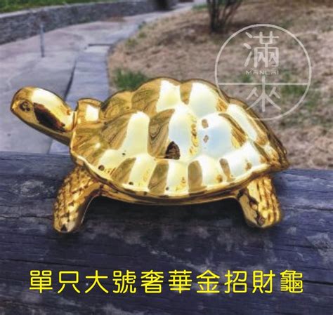 金烏龜招財